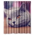 thumbnail image 1 of GreenDecor Cat Waterproof Shower Curtain Set with Hooks Bathroom Accessories Size 60x72 inches, 1 of 2