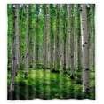 thumbnail image 1 of GreenDecor Cool Home Pretty Aspen Waterproof Shower Curtain Set with Hooks Bathroom Accessories Size 66x72 inches, 1 of 2