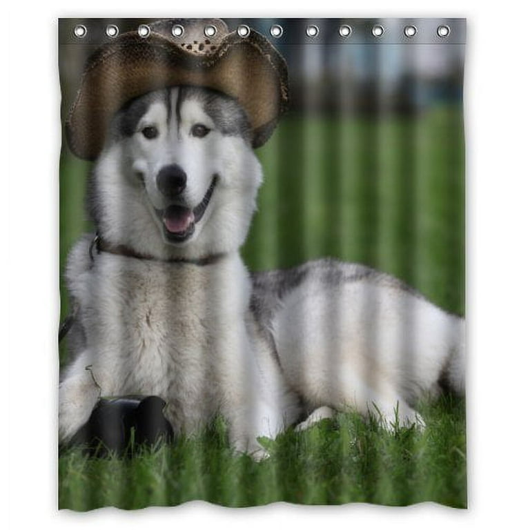 Husky accessories store