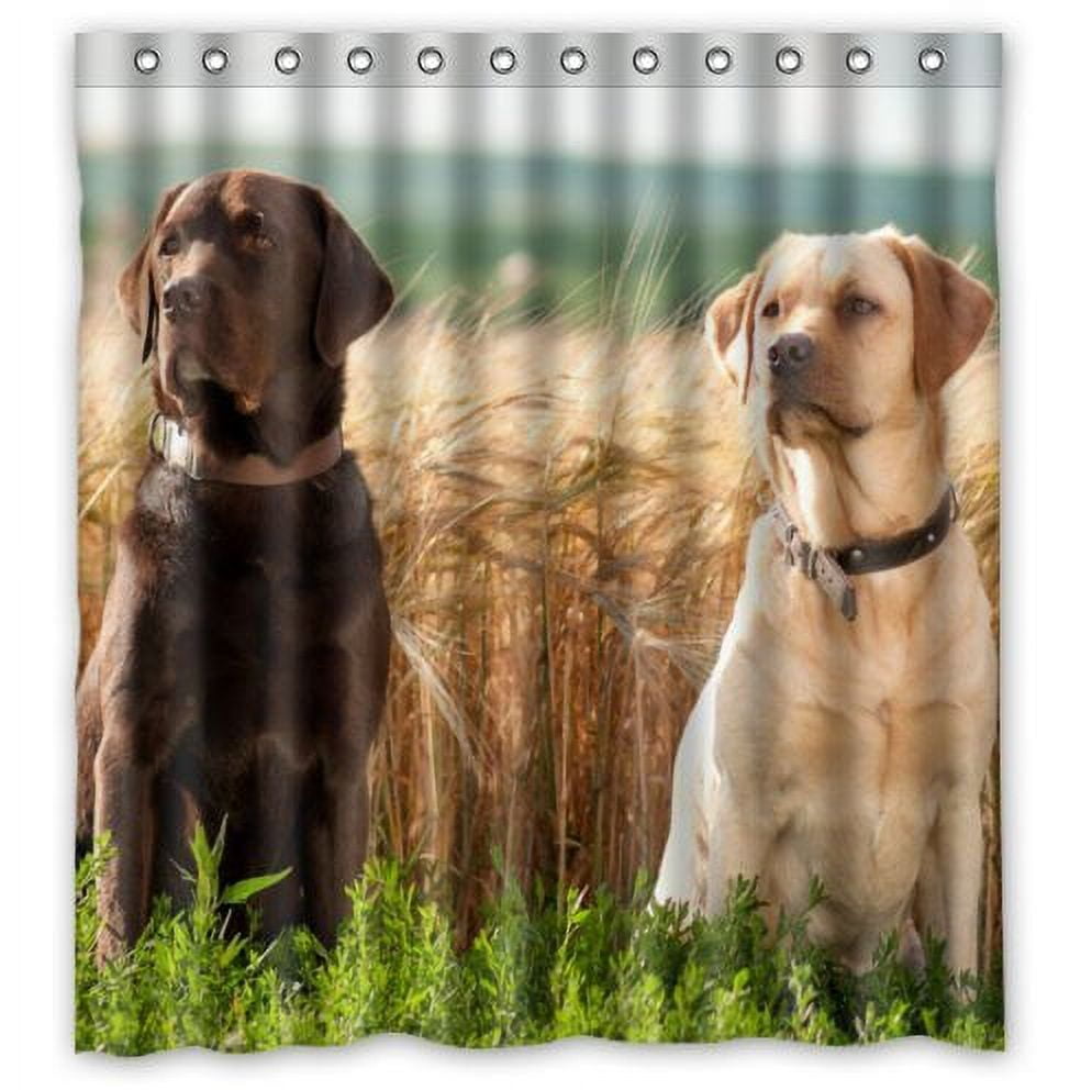 Labrador accessories hotsell