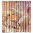 thumbnail image 1 of GreenDecor Group Of Polar Bears Waterproof Shower Curtain Set with Hooks Bathroom Accessories Size 66x72 inches, 1 of 2