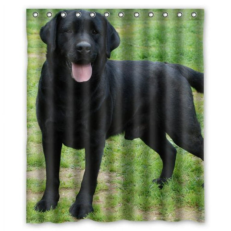 Black labrador accessories store