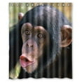 thumbnail image 1 of GreenDecor Monkey Waterproof Shower Curtain Set with Hooks Bathroom Accessories Size 60x72 inches, 1 of 2