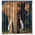 thumbnail image 1 of GreenDecor Store Retro Colorful Waterproof Shower Curtain Set with Hooks Bathroom Accessories Size 66x72 inches, 1 of 2