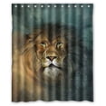 thumbnail image 1 of GreenDecor The King Of Forest Lion Waterproof Shower Curtain Set with Hooks Bathroom Accessories Size 60x72 inches, 1 of 2