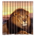 thumbnail image 1 of GreenDecor We The Fierce Lion Waterproof Shower Curtain Set with Hooks Bathroom Accessories Size 66x72 inches, 1 of 2