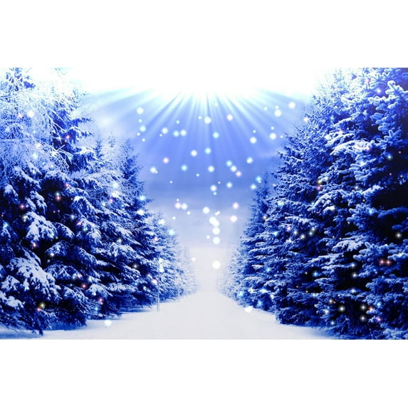 GreenDecor Winter Forest Photography Background Christmas 7x5ft Photo Backdrop White Snow Road Glitter Dot Holiday Party Backdrop for Photo Studio
