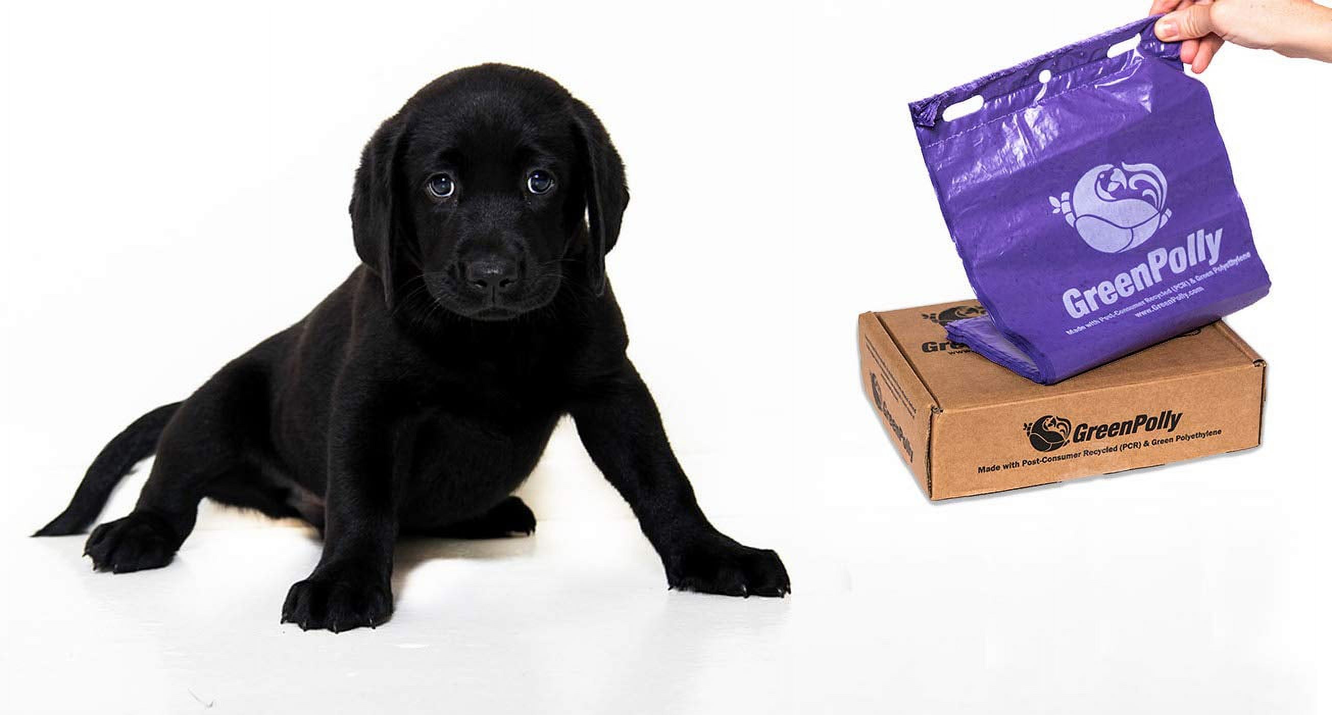 GreenPolly Pet Waste and MMF7 Dog Poop Bags, 250 Count, Made with 100