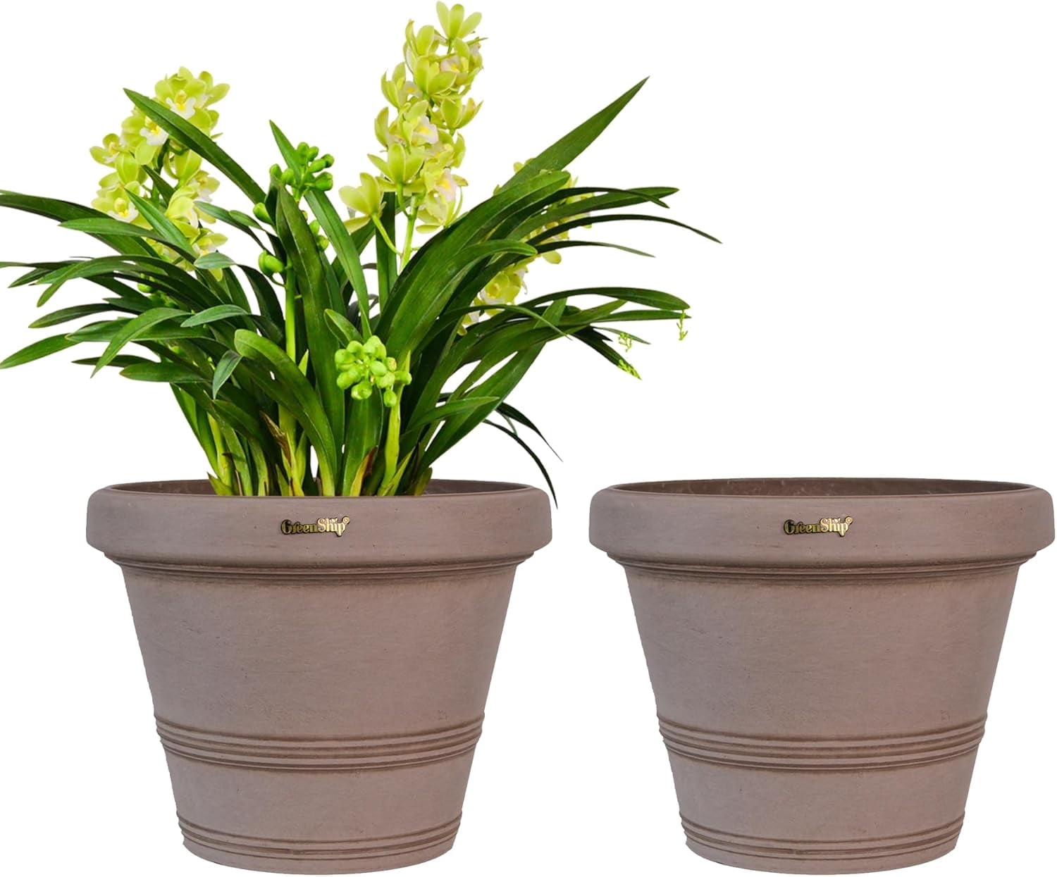 GreenShip 2 Pack 12 Inch or 16 Inch Large Planter with Drainage Hole ...