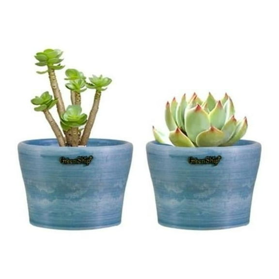 GreenShip 5" Round Blue Stone Indoor Plant Pot (2 Count)