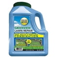thumbnail image 1 of LAWN REPAIR SEED MIX, 1 of 1