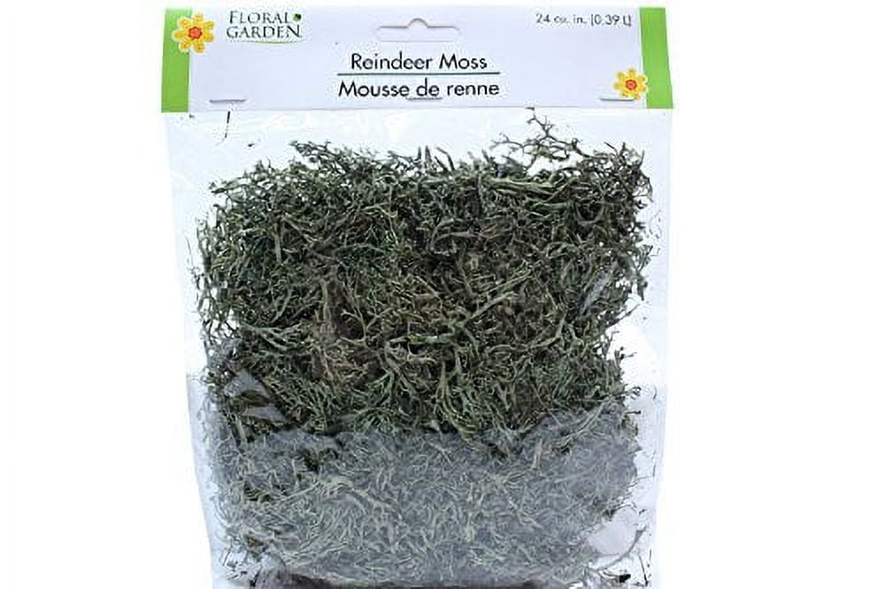 Greenbrier Floral Garden Reindeer Moss Halloween Decor 2 Packs 48 Cubic