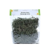 Greenbrier Floral Garden Reindeer Moss Halloween Decor 2 حزم 48 بوصة مكعبة