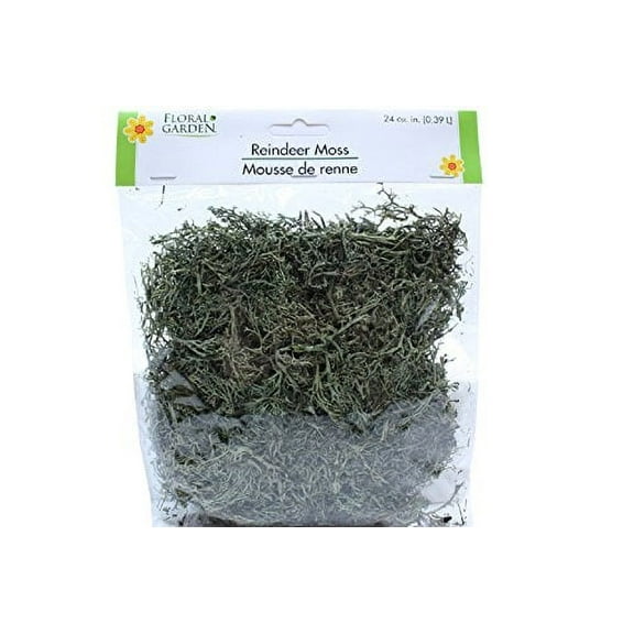 Greenbrier Floral Garden Reindeer Moss Halloween Decor 2 Packs 48 Cubic Inches