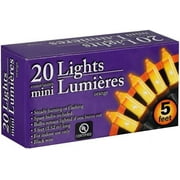Greenbrier International Orange Halloween Mini Lights with Black Wire 20 Count 5 feet