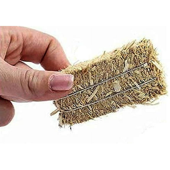 Greenbrier Mini Hay Bales for Autumn Harvest Craft, Decoration and Display, Pack of 2