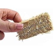 Greenbrier Mini Hay Bales for Autumn Harvest Craft, Decoration and Display, Pack of 2