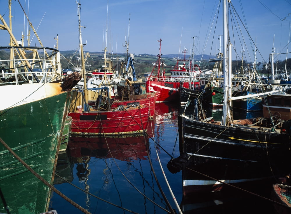 Greencastle Lough Foyle Co Donegal Ireland Boats At A Commercial Fishing Port Canvas Art - The Irish Image Collection Design Pics (34 x 26)