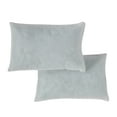 thumbnail image 1 of Greendale Home Fashions Premium 21"x14" Rectangle Filled Pillow Insert (2-Pack), 1 of 6