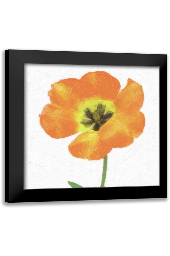 Greene, Taylor 12x12 Black Modern Framed Museum Art Print Titled - CIRCUS ROSE