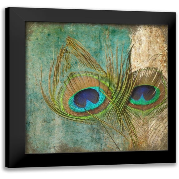 Greene, Taylor 12x12 Black Modern Framed Museum Art Print Titled - Peacock 2