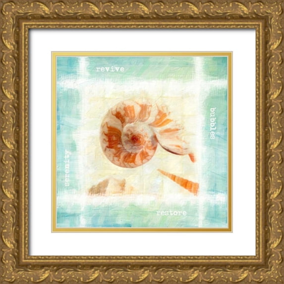 Greene, Taylor 12x12 Gold Ornate Wood Framed with Double Matting Museum Art Print Titled - Calming Shells