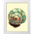 thumbnail image 1 of Greene, Taylor 12x14 White Modern Wood Framed Museum Art Print Titled - Jeweled Shell I, 1 of 4