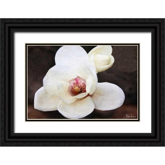 Greene, Taylor 14x11 Black Ornate Wood Framed with Double Matting Museum Art Print Titled - Magnolia In Bloom
