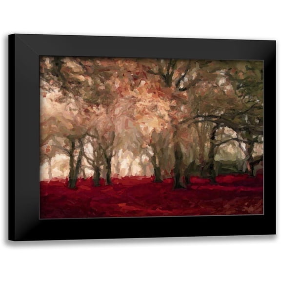 Greene, Taylor 14x12 Black Modern Framed Museum Art Print Titled - Crimson Forest Floor A2