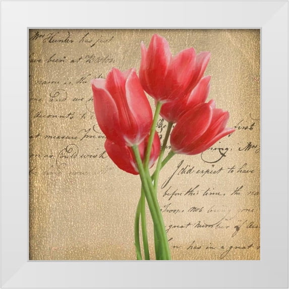 Greene, Taylor 15x15 White Modern Wood Framed Museum Art Print Titled - RED TULIP II ON GOLD