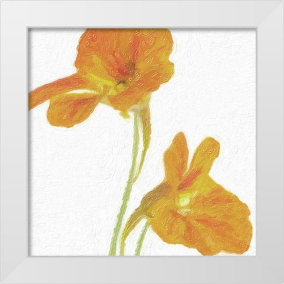 Greene, Taylor 15x15 White Modern Wood Framed Museum Art Print Titled - TANGERINE FLORAL PAIR