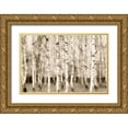 thumbnail image 1 of Greene, Taylor 18x13 Gold Ornate Wood Framed with Double Matting Museum Art Print Titled - Sepia Timber, 1 of 4