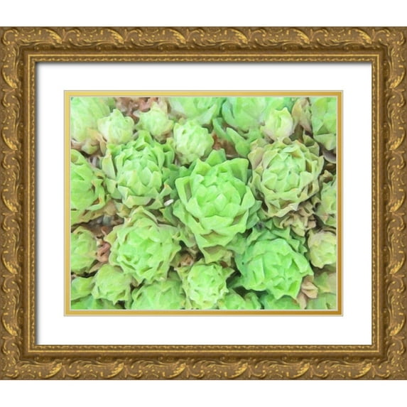 Greene, Taylor 18x15 Gold Ornate Wood Framed with Double Matting Museum Art Print Titled - ABSTRACT SUCCULENT