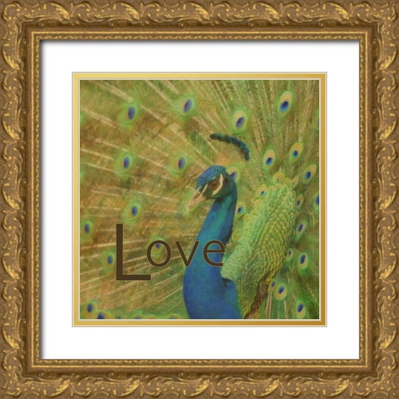 Greene, Taylor 20x20 Gold Ornate Wood Framed with Double Matting Museum Art Print Titled - Peacock Love C