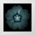 thumbnail image 1 of Greene, Taylor 20x20 White Modern Wood Framed Museum Art Print Titled - Daylight Floral I, 1 of 4