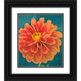 thumbnail image 1 of Greene, Taylor 20x23 Black Ornate Wood Framed with Double Matting Museum Art Print Titled - POPPY IN BLOOM, 1 of 4