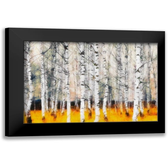 Greene, Taylor 24x17 Black Modern Framed Museum Art Print Titled - Saffron Timber