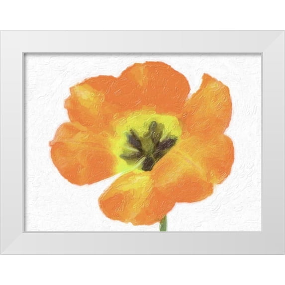 Greene, Taylor 24x19 White Modern Wood Framed Museum Art Print Titled - TANGO ROSE