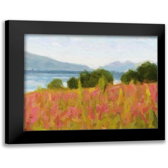 Greene, Taylor 24x20 Black Modern Framed Museum Art Print Titled - MOUNTAIN VIEW