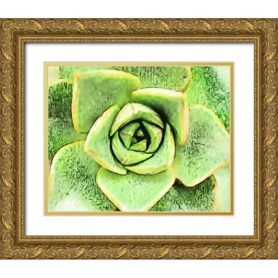 Greene, Taylor 24x20 Gold Ornate Wood Framed with Double Matting Museum Art Print Titled - BEAUTIFUL AGAVE