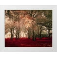 thumbnail image 1 of Greene, Taylor 24x20 White Modern Wood Framed Museum Art Print Titled - Crimson Forest Floor A2, 1 of 4
