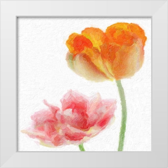 Greene, Taylor 26x26 White Modern Wood Framed Museum Art Print Titled - FLORAL PAIR