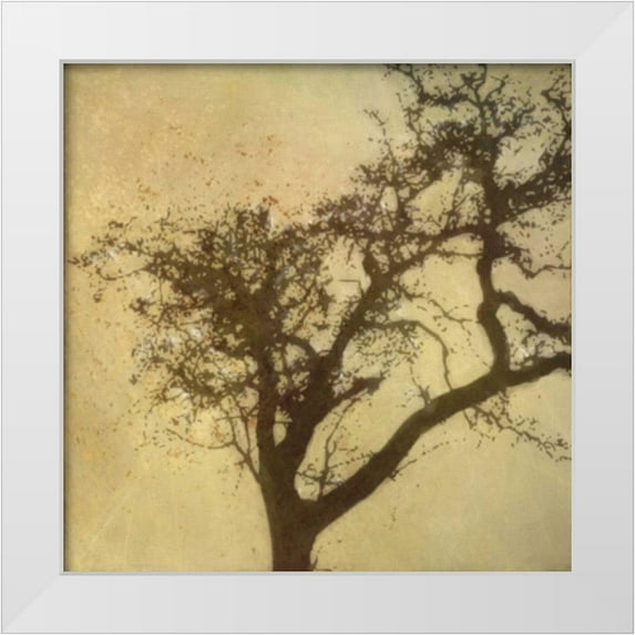 Greene, Taylor 26x26 White Modern Wood Framed Museum Art Print Titled - Silo Beauty Tree