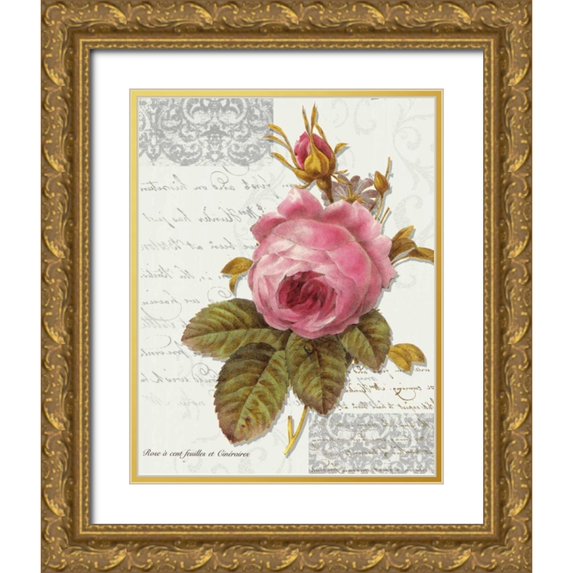 Greene, Taylor 26x32 Gold Ornate Wood Framed with Double Matting Museum Art Print Titled - Rose On Scroll I