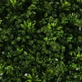 thumbnail image 1 of Greenery Panel 12 Pack - Jasmine Mix, 1 of 6