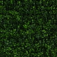 thumbnail image 1 of Greenery Panel 12 Pack - Soft Touch Holly, 1 of 6