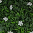 thumbnail image 1 of Greenery Panel 12 Pack - White Cuckoo, 1 of 6