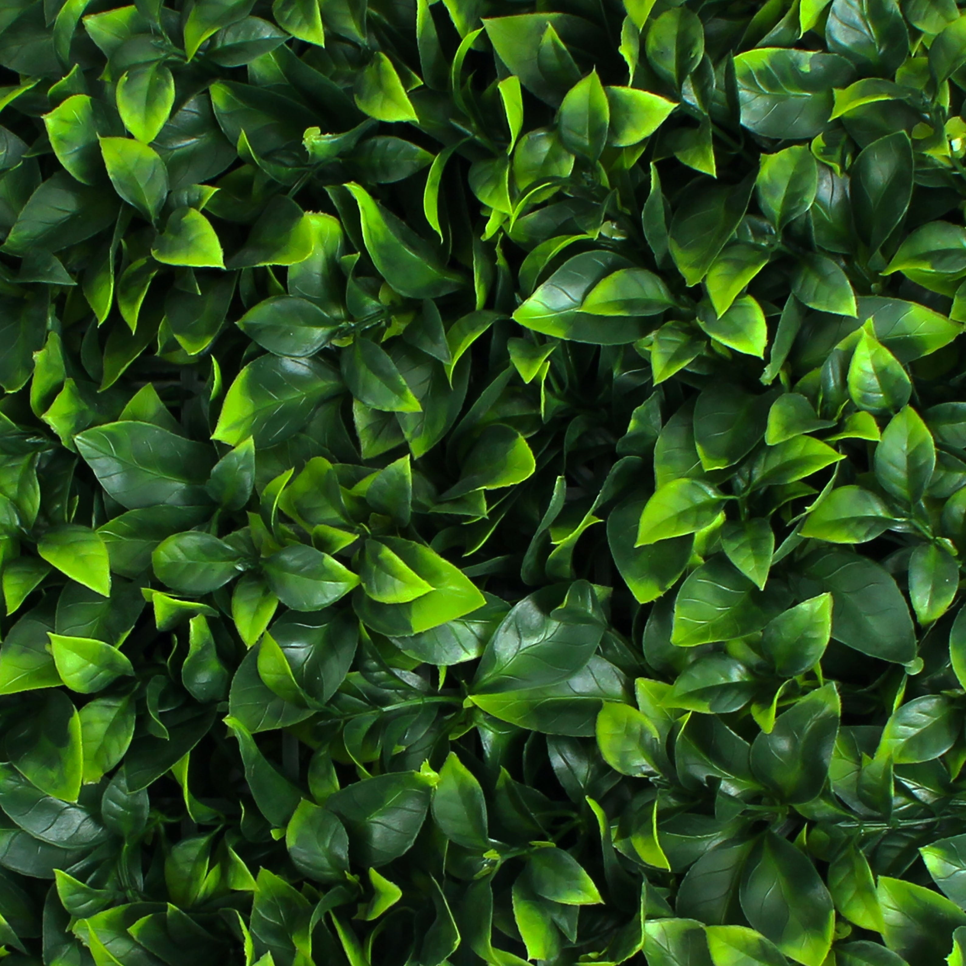 20'' Square Green Artificial Gardenia Ivy Topiary Panel