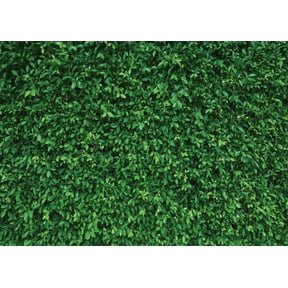 Greenery Photography Backdrops Mmicrofiber Nature Backdrop Birthday Background for Birthday Party Seamless Photo Booth Prop Backdrop