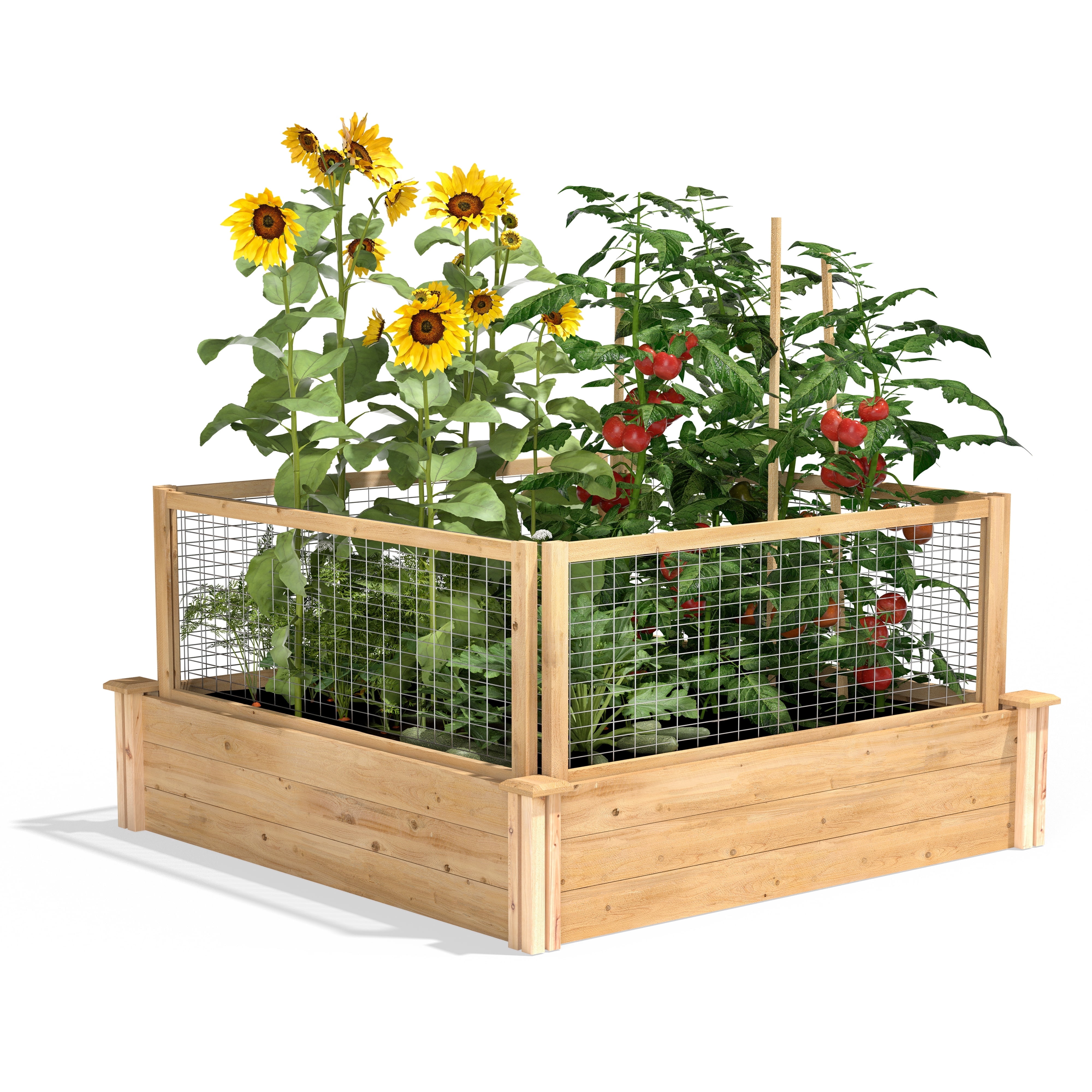 Greenes Fence 4' x 4' x 10.5" (3/4" Thick) Premium Cedar Raised Garden Bed with CritterGuard Fence System